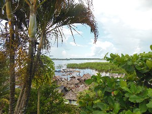 Iquitos selva 2